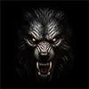 #6