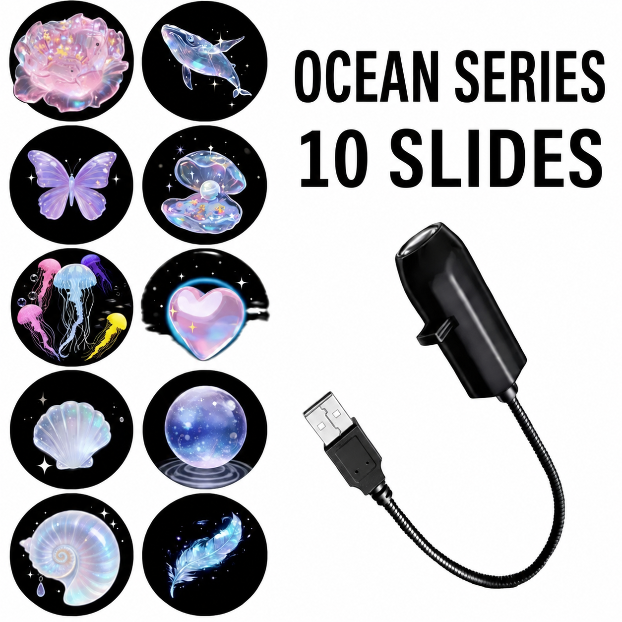 10-Ocean