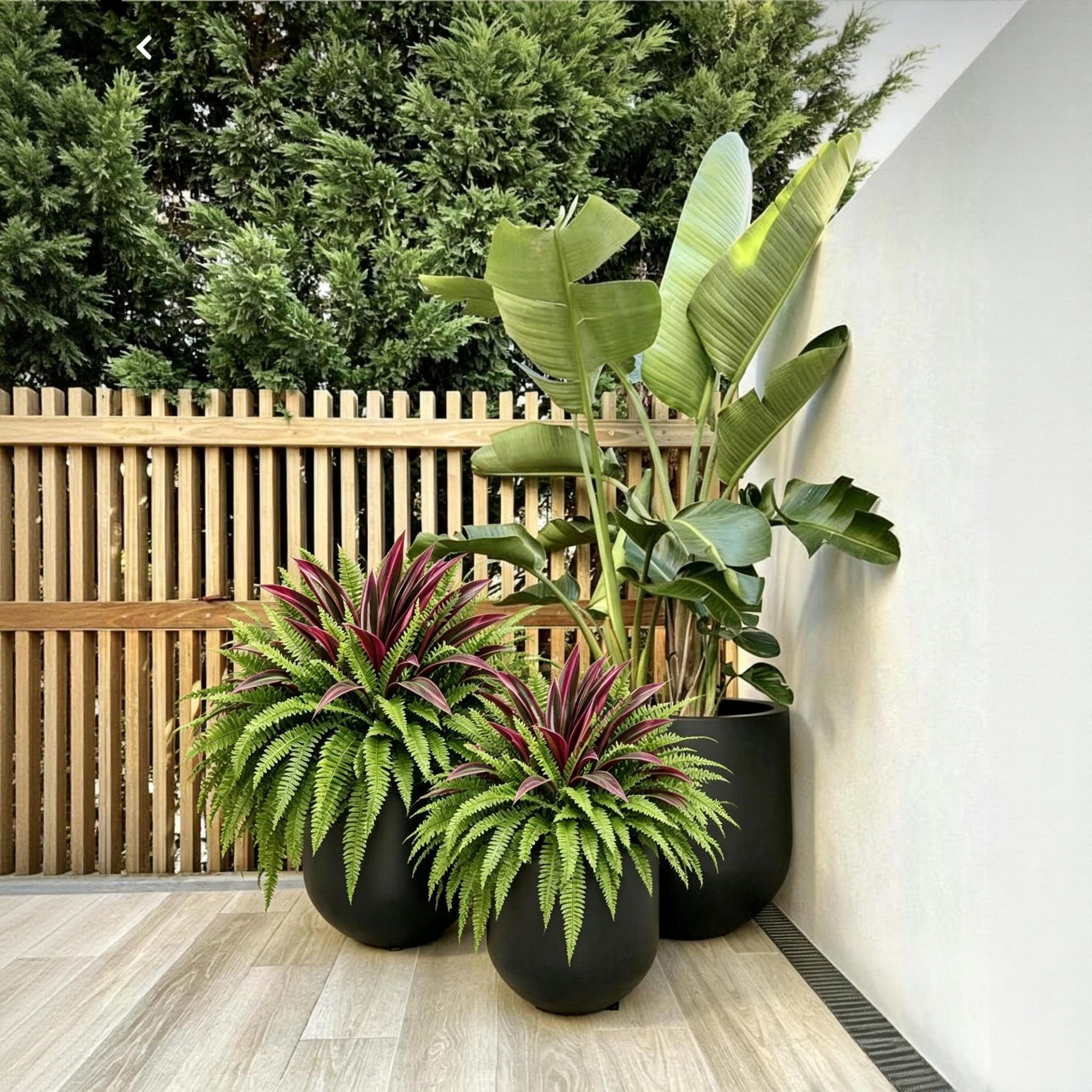 💥BUY 1 GET 1 FREE (2 PCS)🔥 48' Large UV-Resistant Artificial Fern & Red Dracaena Decorative Plants – Full, Lush & Fade-Resistant!