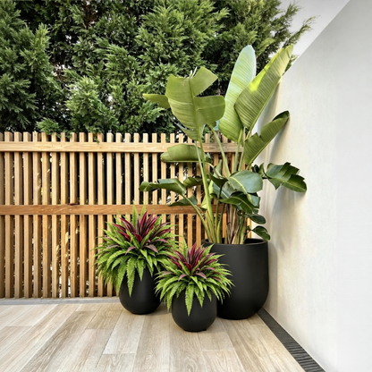 💥BUY 1 GET 1 FREE (2 PCS)🔥 48' Large UV-Resistant Artificial Fern & Red Dracaena Decorative Plants – Full, Lush & Fade-Resistant!