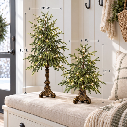 Vintage Lighted Norfolk Pine Trees