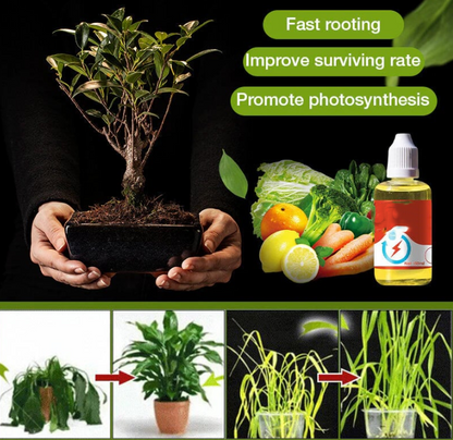 💥 Plant Growth Enhancer Supplement