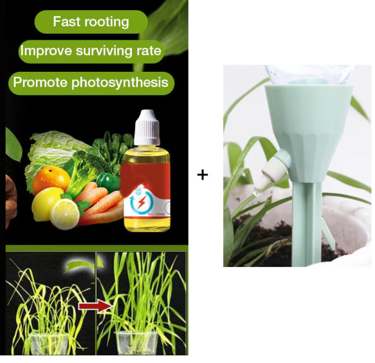 💥 Plant Growth Enhancer Supplement