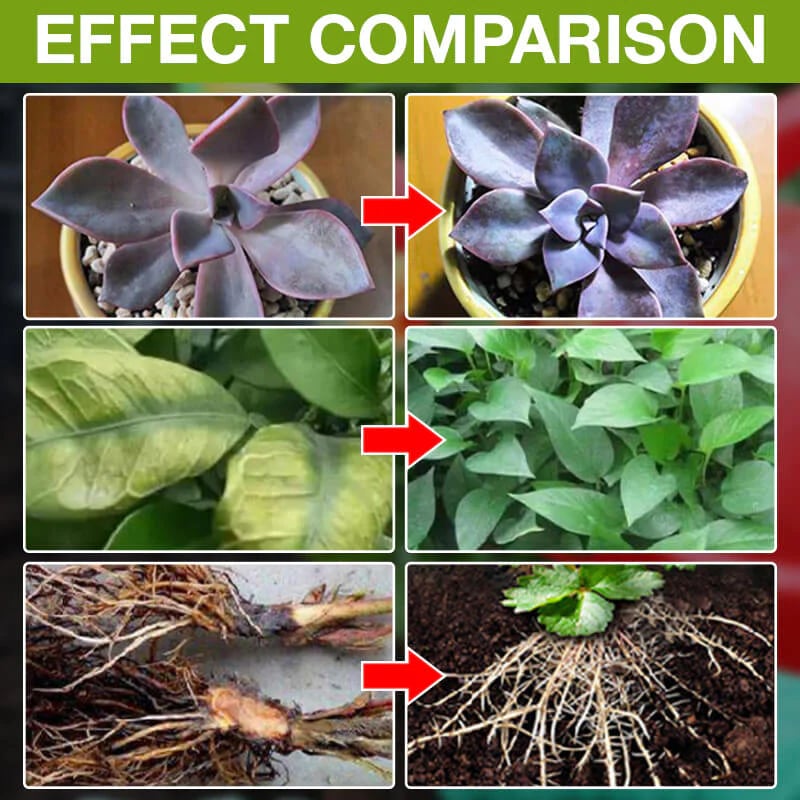 💥 Plant Growth Enhancer Supplement