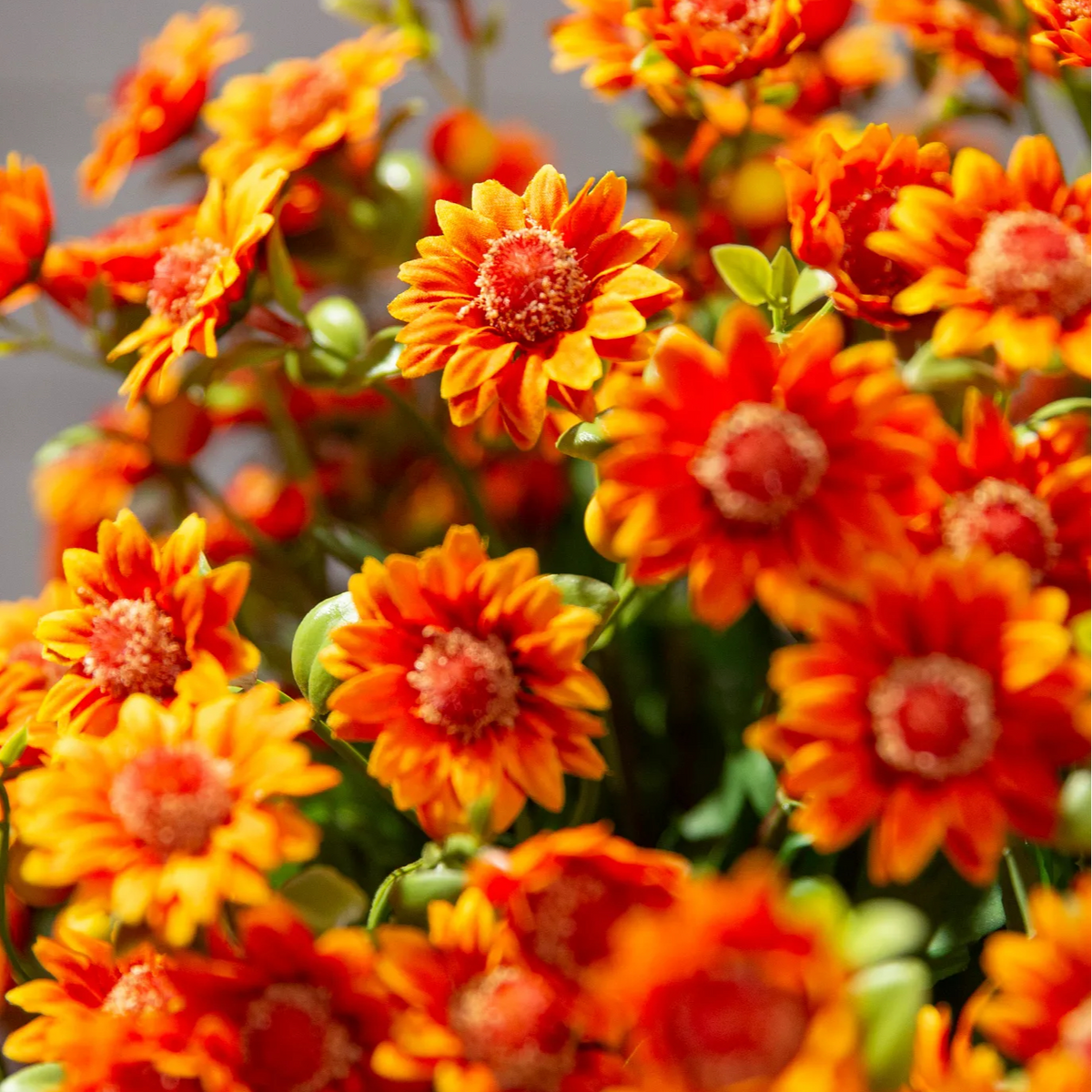 💥Last Day 70% OFF🌼- Artificial Outdoor Sunset Mums Flowers - UV resistant, Waterproof, Windproof（Sold as a set of 5 bundles; the image shows the promotional effect of multiple bundles.）