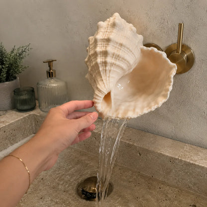 🐚 Coastal Seashell Wall-Mount Faucet | Beach Style Bathroom Decor