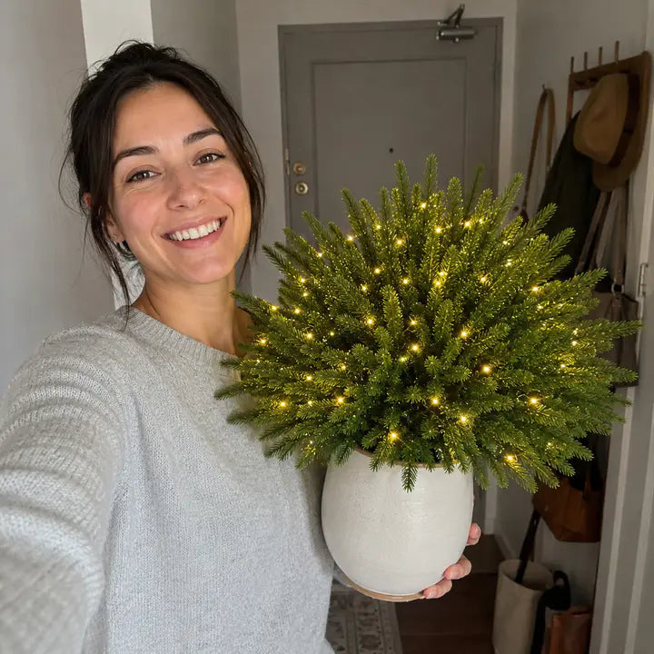 Ordinary bulky seasonal decor