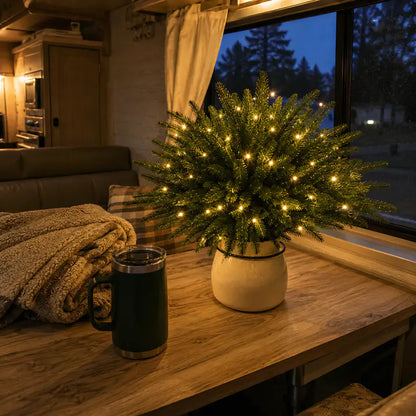 🌳Enchanted Evergreen Pine