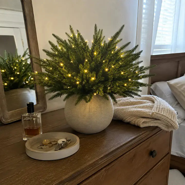🌳Enchanted Evergreen Pine