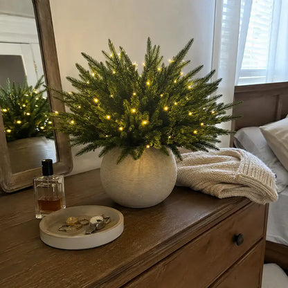 🌳Enchanted Evergreen Pine