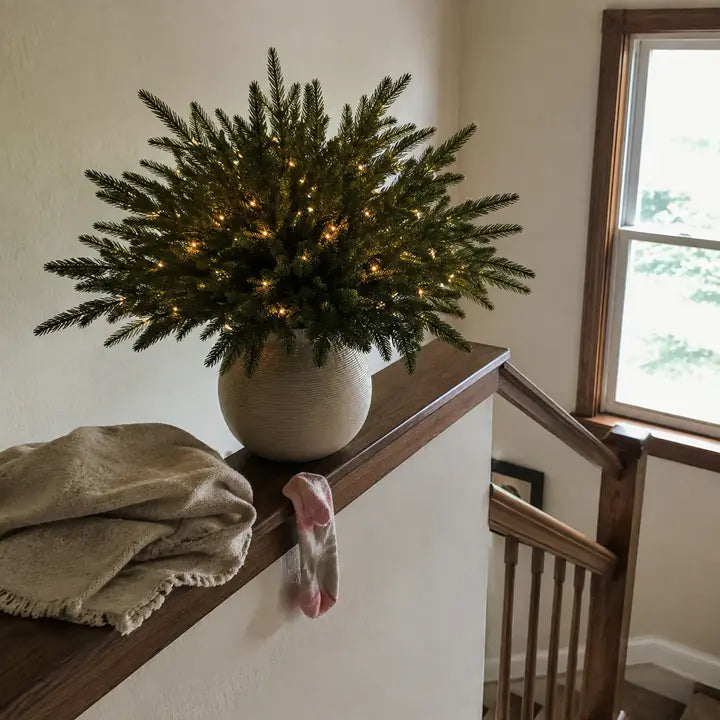 🌳Enchanted Evergreen Pine