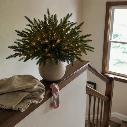 🌳Enchanted Evergreen Pine