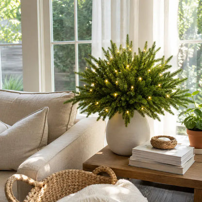 🌳Enchanted Evergreen Pine